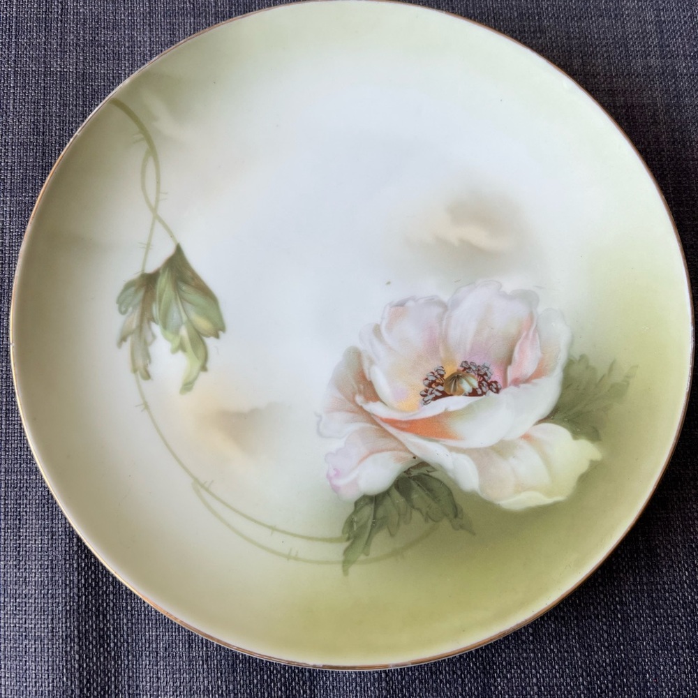 "Prussia Royal Rudolstadt Floral Green and White Plate antique gorgeous